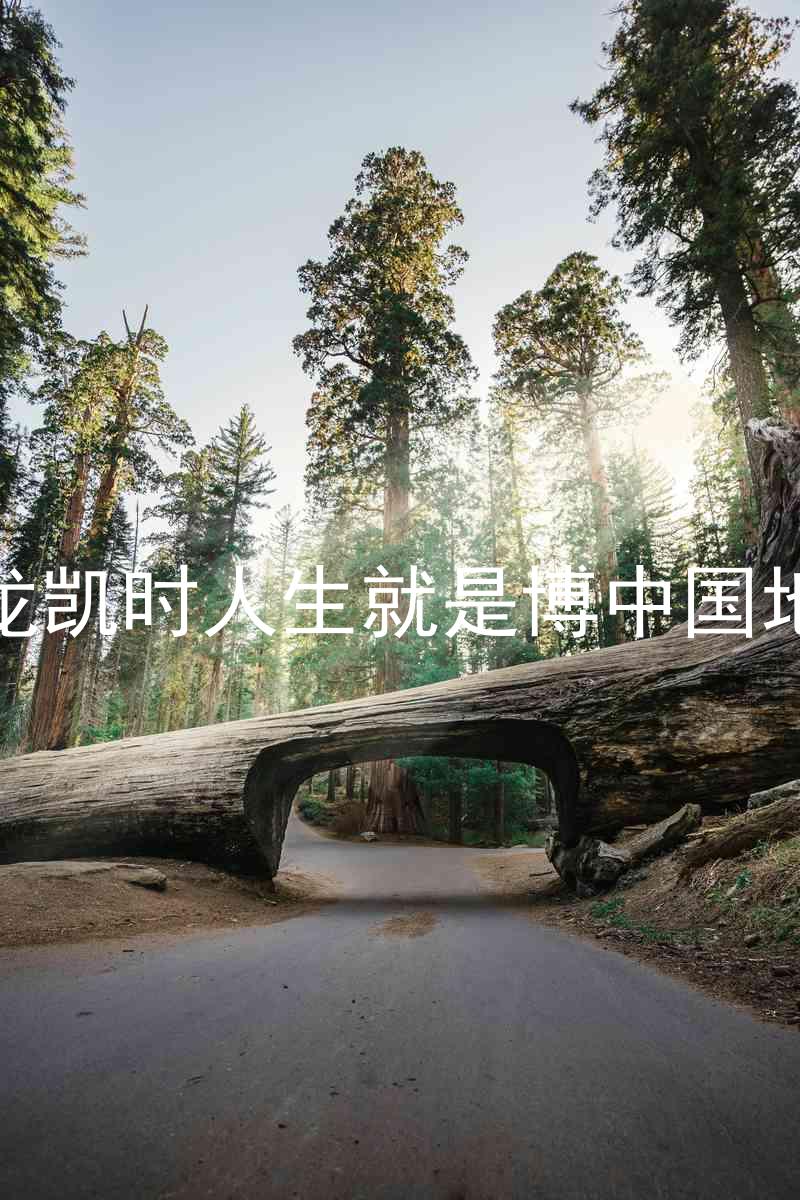 尊龙凯时人生就是博中国地区