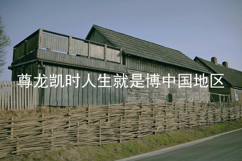 尊龙凯时人生就是博中国地区