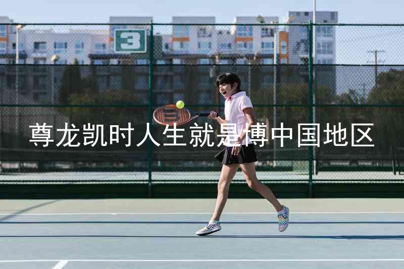 尊龙凯时人生就是博中国地区