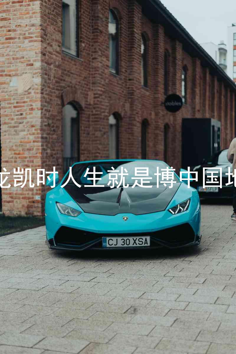 尊龙凯时人生就是博中国地区