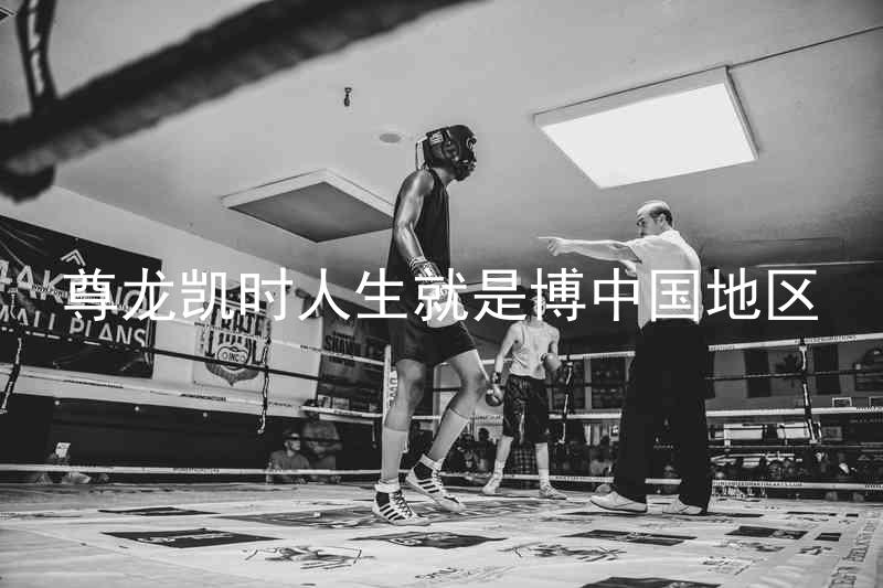尊龙凯时人生就是博中国地区